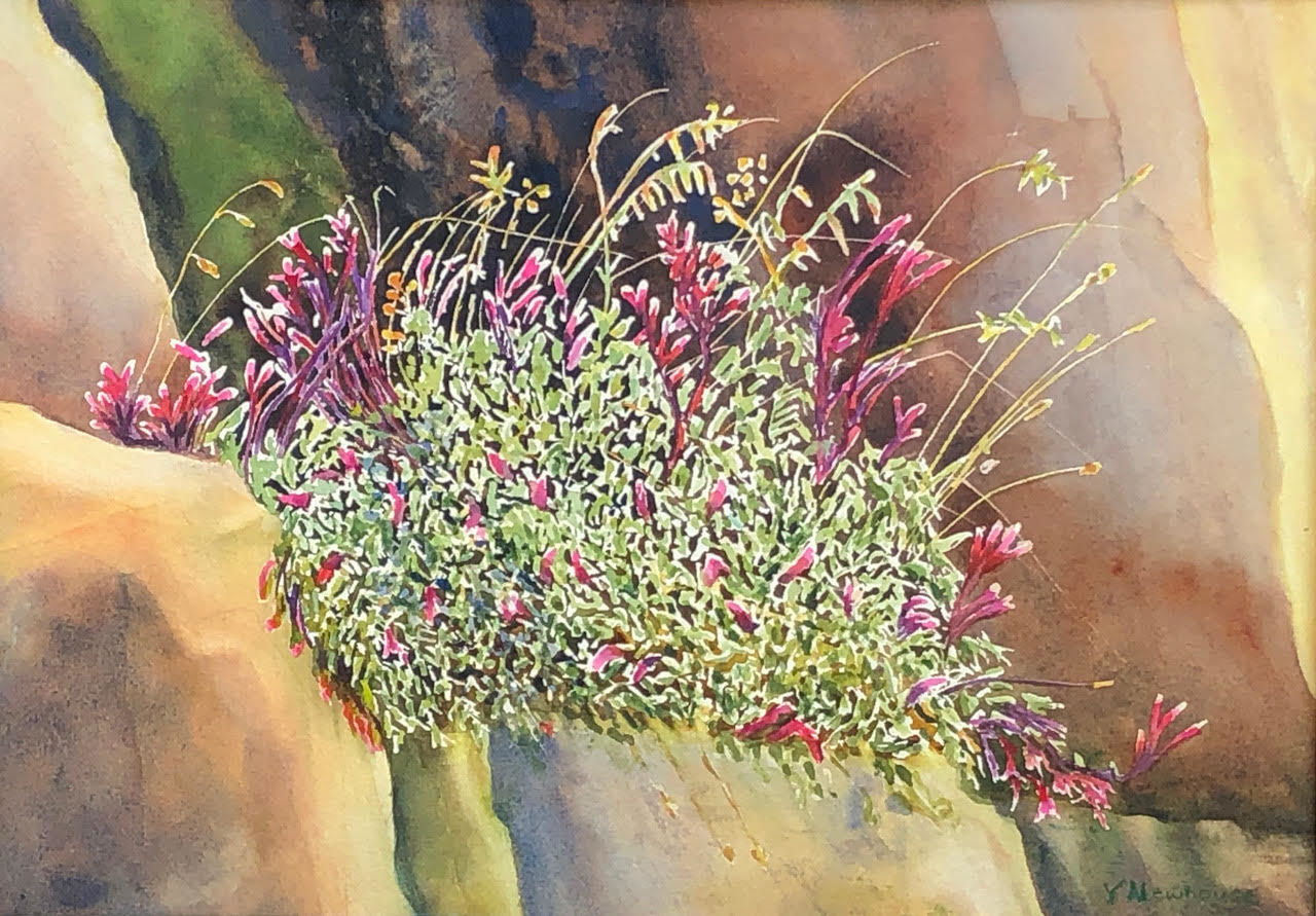 YvonneNewhouse_PenstemonsOnTheRidge_Watercolor_14x18_2019.jpg